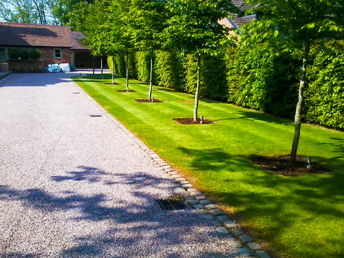 Paul Barrett Landscapes