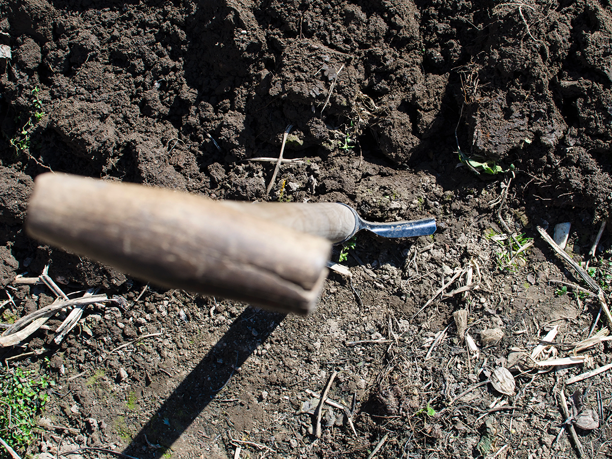 Irrigation & Drainage